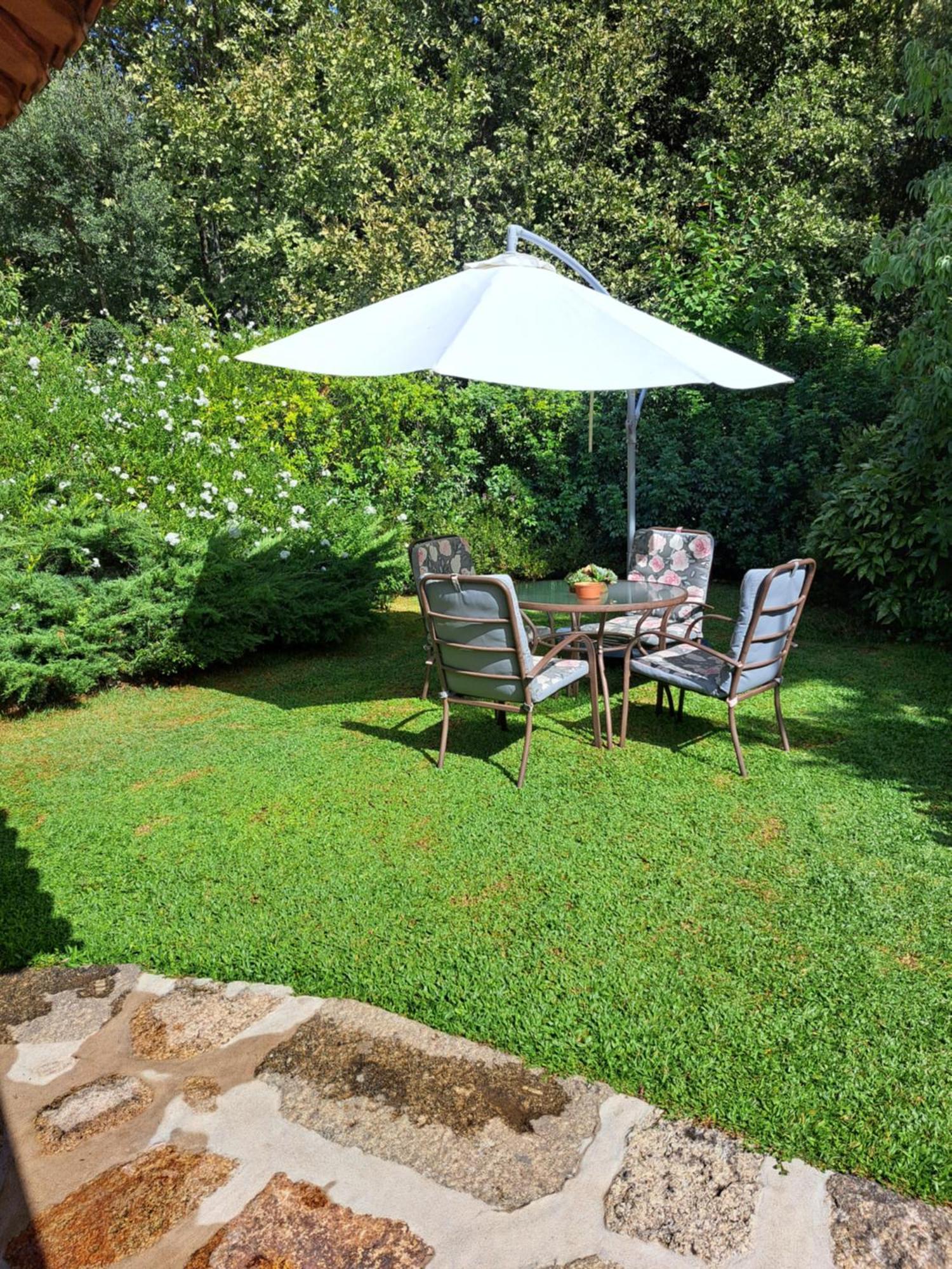 Quinta De Carcavelos Agroturismo E Enoturismo Celorico De Basto Exteriör bild